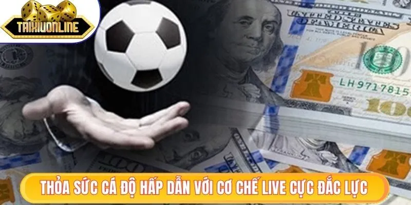 Thỏa sức cá độ hấp dẫn với cơ chế live cực đắc lực