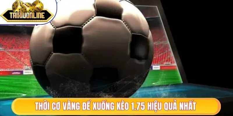  Thời cơ vàng để xuống kèo 1.75 hiệu quả nhất